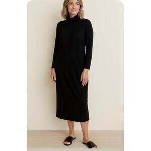 Garnet Hill Womens Dress Large Long Sleeves Tencell Maxi Dress Turtleneck